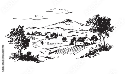 Vineyard landscape, Sketch, hand drawn illustrations.	
