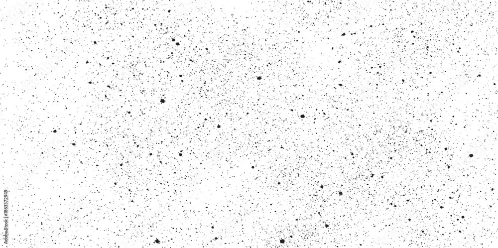 Fototapeta premium Abstract vector noise. Small particles of debris and dust. Distressed uneven background. Grunge with fine grains isolated on white background. Vector illustration. EPS10.