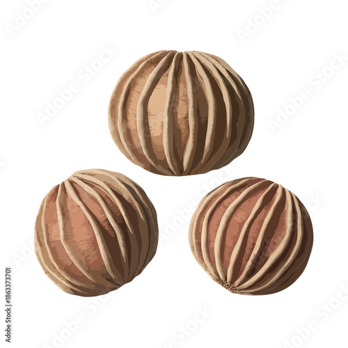 Three intricately carved wooden spheres isolated on white background, Vector