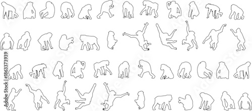 Collection of minimalist monkey and primate line art silhouettes in diverse poses like climbing, sitting, and swinging, ideal for wildlife logos.