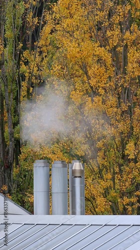 Smoke of residential building heating rising from rooftop chimneys against vibrant autumn trees