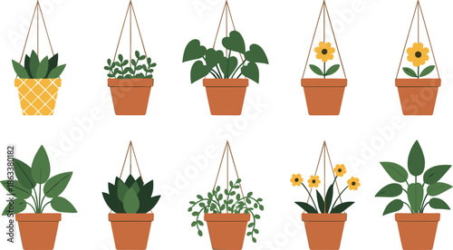 Flat Vector Illustration Set of Hanging Potted Plants with Trailing Vines, Leafy Houseplants, and Yellow Flowers for Interior Decor and Home Gardening Designs