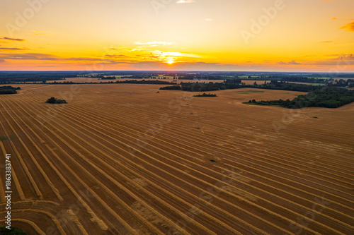 a farmer's field after the wheat harvest