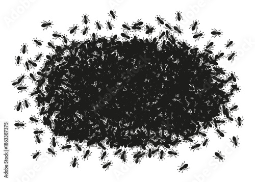 Black ants forming a circular border. Oval ring of ants isolated on a white background. Minimal insect frame for design, decoration, or nature themes. Vector illustration.