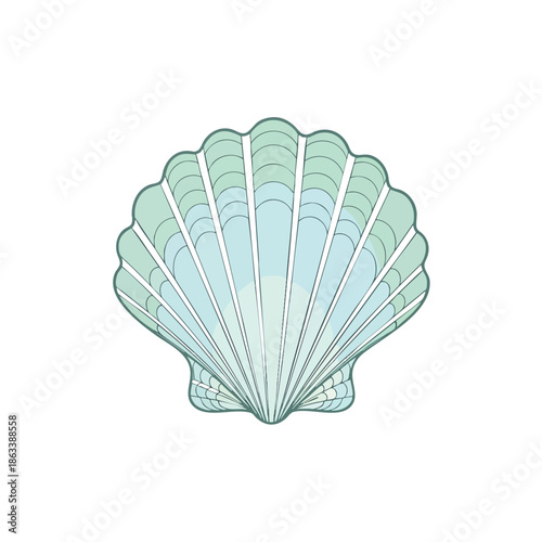 Beautiful Light Blue Scallop Shell Illustration with Detailed Ridges and Unique Shape.