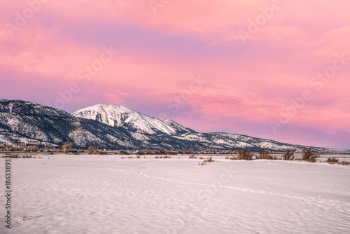 Snowcapped Mount Rose rises majestically over Washoe Valley, Nevada, during winter. The landscape is blanketed in snow, with scattered shrubs dotting the foreground.