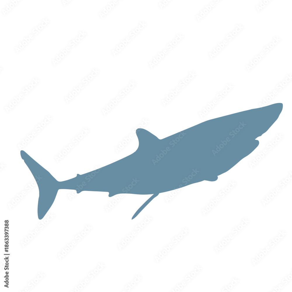 Fototapeta premium Mako Shark Vector Silhouette Color Icon - Editable EPS
