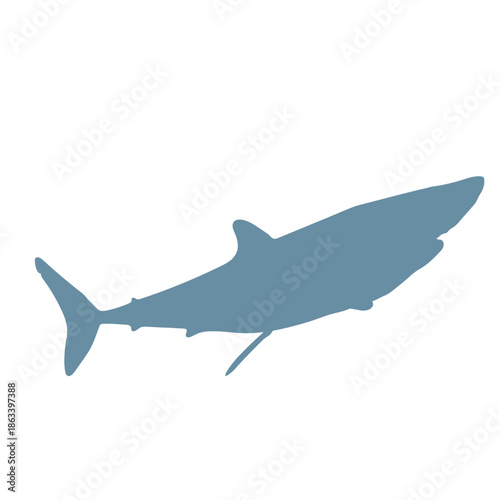 Mako Shark Vector Silhouette Color Icon - Editable EPS