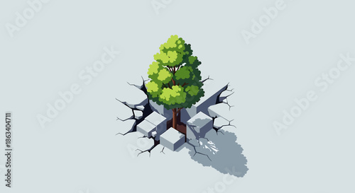 green tree growing out of cracked asphalt road surface