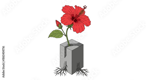 red hibiscus flower growing out of concrete block with roots