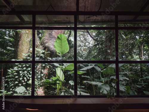 A serene view of a dense tropical forest and green exotic foliage seen through a black grid window frame. This peaceful scene captures the essence of indoor-outdoor living, biophilic design, and a tra