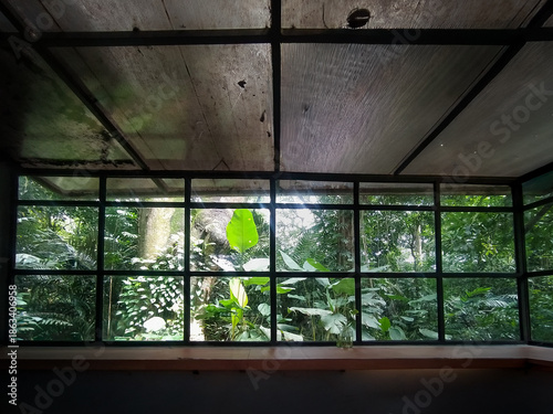 A serene view of a dense tropical forest and green exotic foliage seen through a black grid window frame. This peaceful scene captures the essence of indoor-outdoor living, biophilic design, and a tra