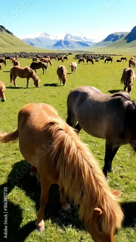 Herd Of Horses Grazing In Green Meadow Under Blue Sky