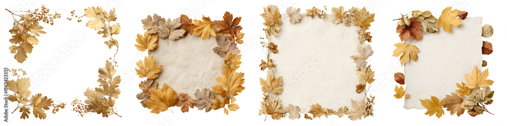 Fototapeta premium Autumn Leaves Frame and Border Collection