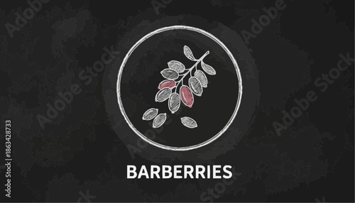 Leaf lettuce displayed on a chalkboard background