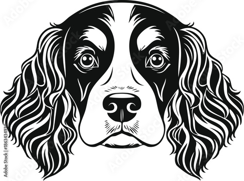 Detailed Black and White Vector Portrait of a Spaniel Dog Face, Elegant Cocker Spaniel Breed Illustration with Wavy Ears and Expressive Eyes for Pet Care Logos, Animal Branding, and Dog Lovers