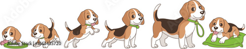 Cute beagle puppy illustration set, dog growth stages and playful poses, cartoon pet character collection, flat vector design for stock