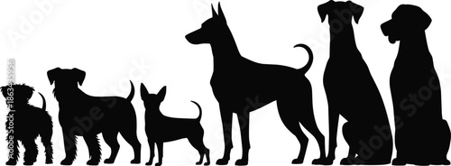 Dog silhouettes collection, different breeds and sizes standing and sitting, black pet animal shapes vector illustration isolated on white background