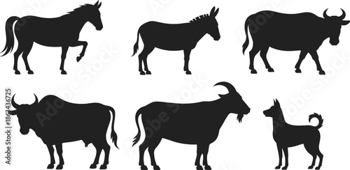 Farm animal silhouettes set, horse donkey cow goat dog, black flat vector illustration, rural livestock icons isolated on white background