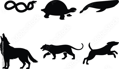 Wild animal silhouettes set, snake turtle whale wolf panther dog, black flat vector illustration, wildlife collection, isolated on white background