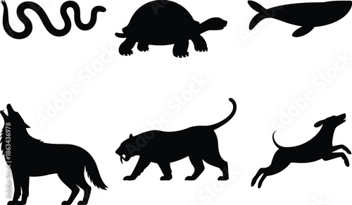 Wild animal silhouettes set, snake turtle whale wolf panther dog, black flat vector illustration, wildlife icons collection isolated on white background