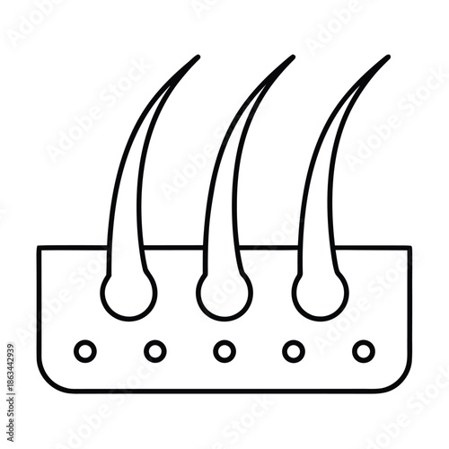 Simple black outline icon illustrating the cross section of three healthy hair follicles growing deeply within the skin layer for dermatology related designs