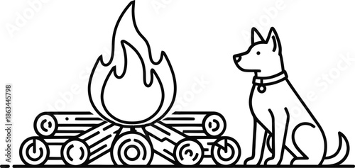 Outdoor Campfire Dog Nature Forest Camping