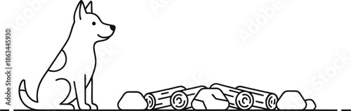 Camping Dog Tent Campfire Outdoor Adventure Night