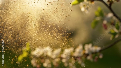 Seasonal Atmospheric Effects pollen drift spring Capturing the hazy or shimmering visual phenomena created by abundant pollen in the