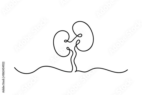 Human Kidney Icon Continuous One Line Minimalist Art Outline Vector Illustration