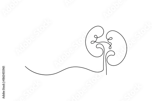 Human Kidney Icon Continuous One Line Minimalist Art Outline Vector Illustration