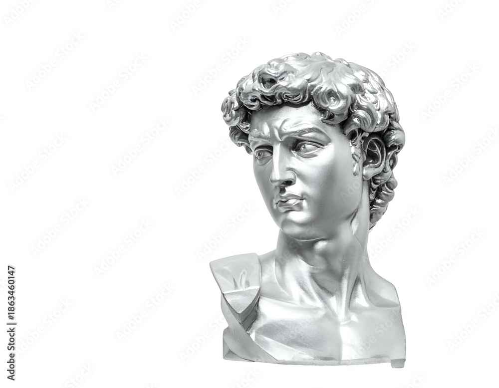Obraz premium Silver sculpted head with curly hair, dark background