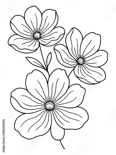 Floral Trio: A delicate illustration showcases a trio of exquisite flowers, their petals elegantly outlined, embodying the beauty of nature's design.