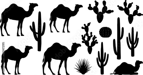 camels and cacti vector silhouettes collection
