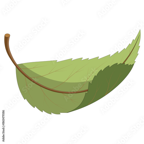 Green leaf with visible veins and natural texture in vector illustration style. Botanical element isolated and suitable for educational materials, eco themes, herbal branding, and environmental graphi