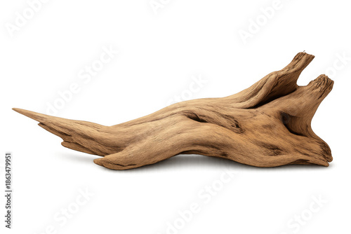 Driftwood branch showing weathered wood surface and rough texture, ready for aquarium decor or rustic crafts on transparent background