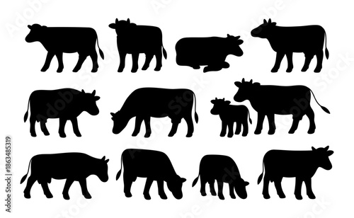 Silhouette cow vector set. Minimal black solid farm animal shapes in various poses for icons, stamps, and simple branding