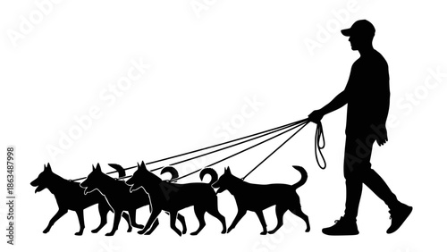 Male dog walker walking with group of pets silhouette vector graphic. Transparent background SVG version.