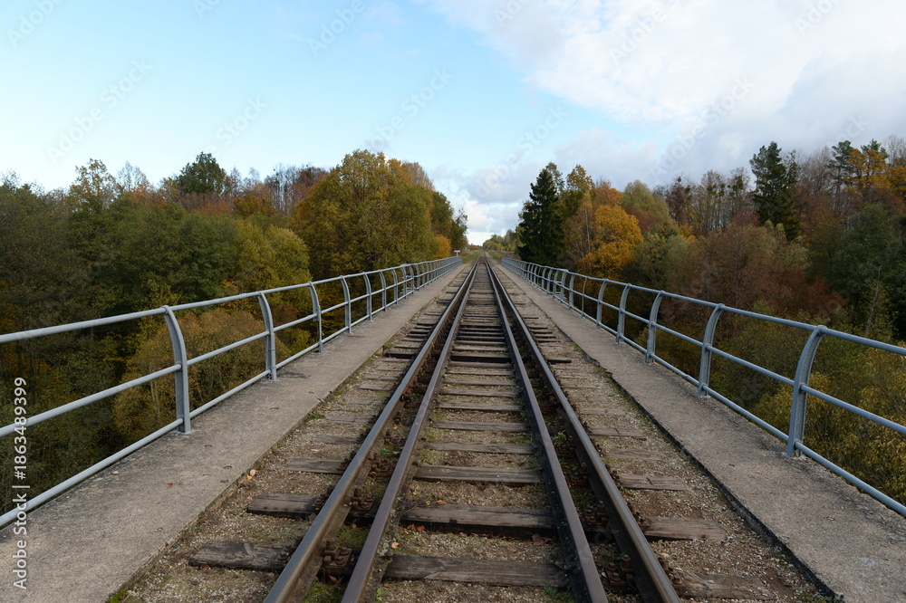 Obraz premium The old railway on the arch bridge over the Krasnaya River in the Kaliningrad region