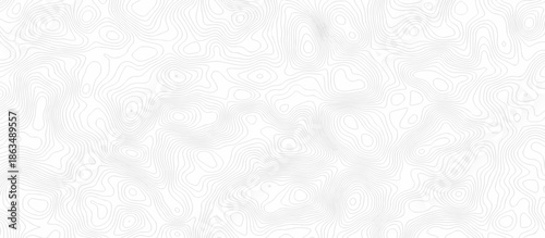 Seamless grid white and gray area curve topography elevation map. wave diagram contour stripe spiral composition discovery paper surface design.