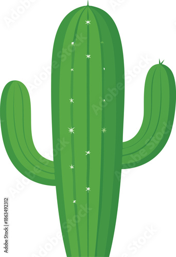 cactus vector illustration