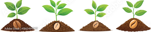 Coffee plant seedling sprouting from bean in soil natural growth illustration agriculture farming organic nature