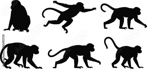 Monkey silhouette vector illustration set, wild animal poses collection, jungle primate artwork for nature, wildlife, zoology and artistic design projects