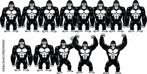 Muscular gorilla vector set with strong poses, black and white style, flexing arms, symmetrical layout, bold animal illustration design.