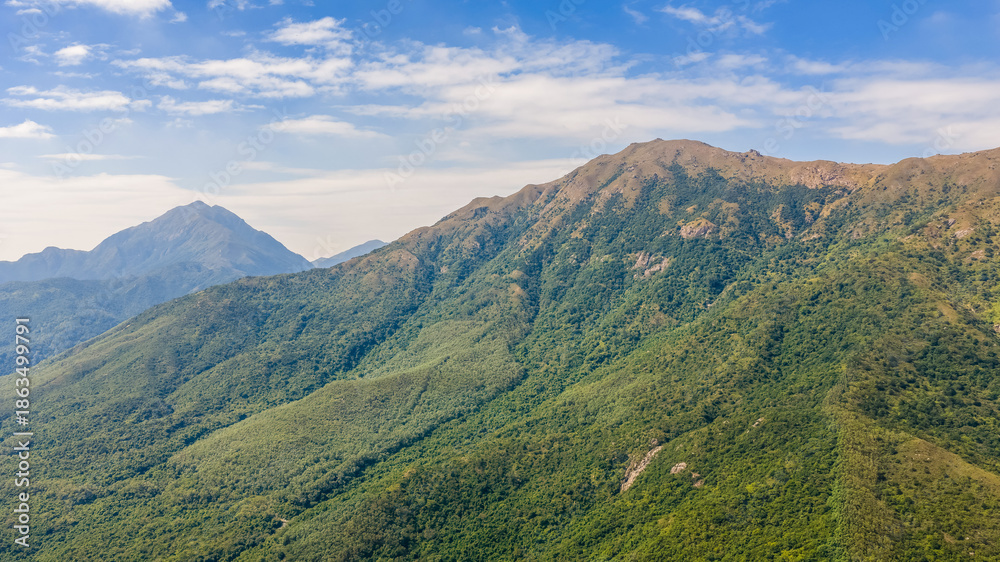 Fototapeta premium Golden Grass Waves on Sunset Peak Hong Kong Oct 25 2025