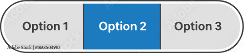 Three Options Tabs With Selected Option 2