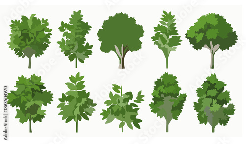 Detailed green leafy trees and plants botanical vector set