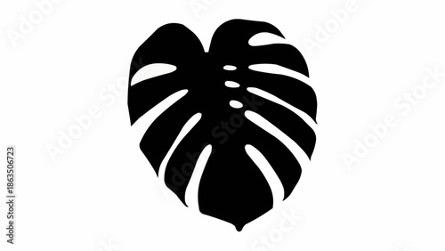 Black silhouette of a monstera deliciosa leaf.