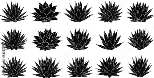 Set of black agave plant silhouettes, wild desert succulent collection, tequila blue agave icons, botanical nature, cad drawing flat vector illustration