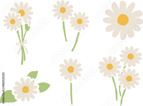 デイジーの花のイラストセット　カモミールやハーブ系のシンプルな花のイメージ  透明背景